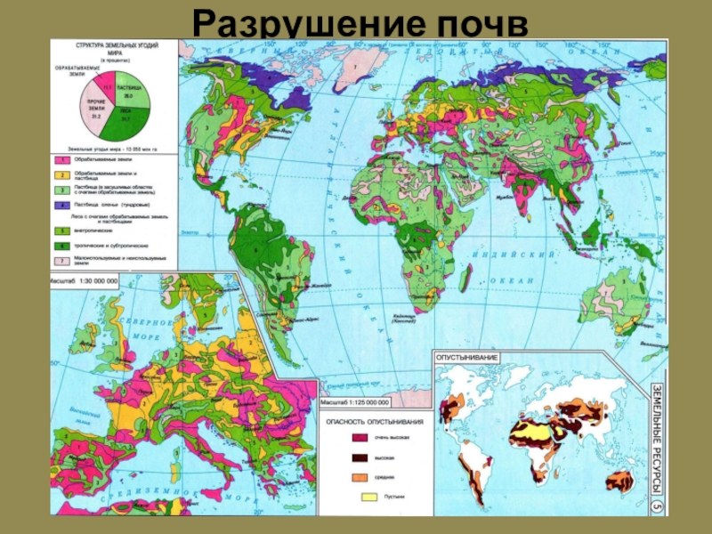 Страны почвенных ресурсов. Карта обеспеченности земельными ресурсами.