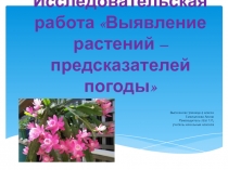 Презентация для защиты исследовательской работы по теме: Выявление растений-предсказателей погоды.