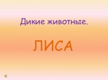 Дикие животные. Лиса