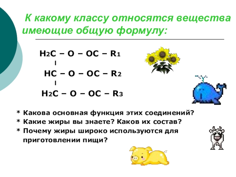 К какому классу относятся вещества. К какому классу относятся жиры. Н2о формула. К какому классу относится.