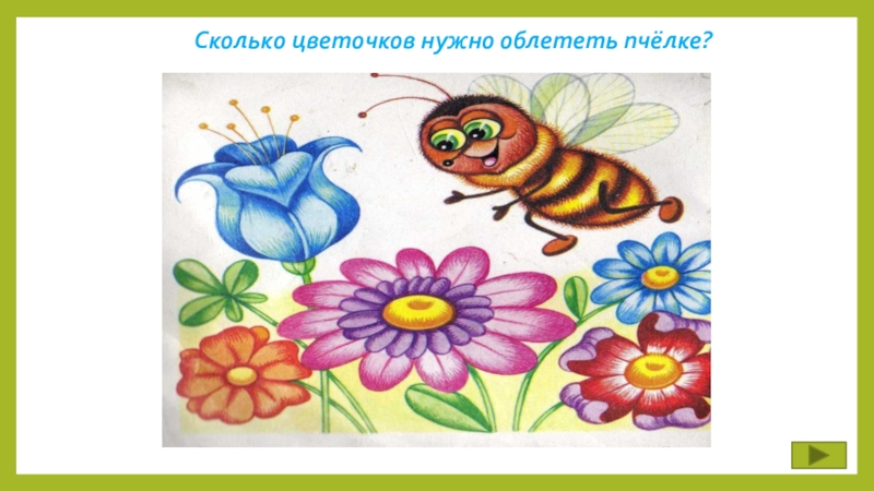 Сколько цветочков. Сколько цветочков нужно облететь пчеле. Сколько цветочков облетают пчёлы?.