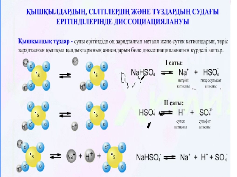 Негіздер презентация 8 сынып