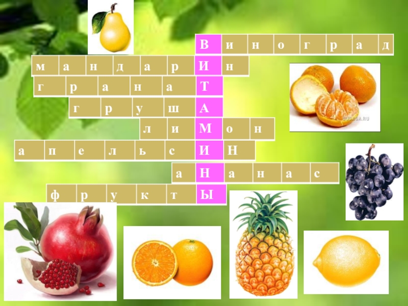 Фрукты презентация 2 класс