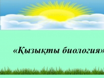 Қызықты биология ойын сабақ презентациясы 8 сынып