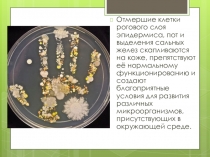 Презентация по биологии Уход за кожей. Гигиена, болезни..