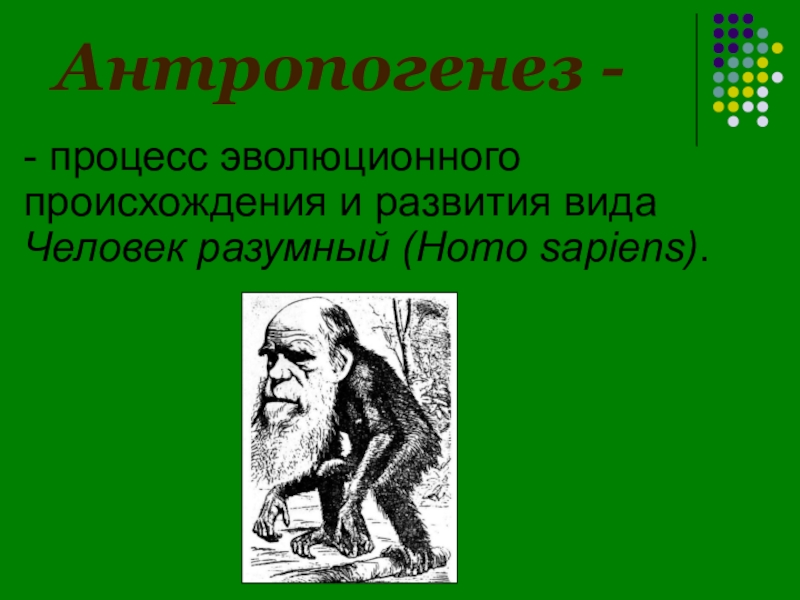 Происхождения биологии. Раздел биологии о происхождении.