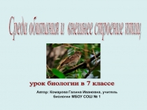 Презентация к уроку биологии Среда обитания и внешнее строение птиц (7 класс)
