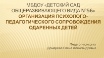 Организация психолого-педагогического сопровождения одаренных детей.