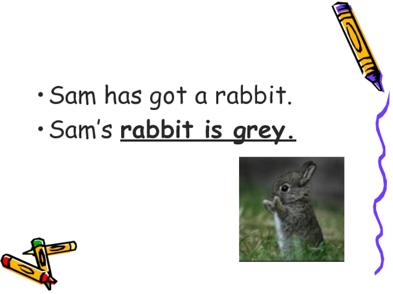 Tim has got a cat перевод. Pam has got a Rabbit переделай по образцу. Sam has got a Rabbit Sam's. Rabbit перевод на русский. I have got a Rabbit.