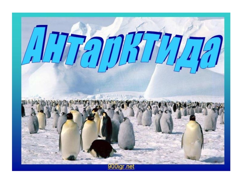 Презентация Презентация по теме Антарктида, А.И.Алексеев, Полярная звезда.