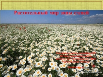 Презентация по географии на тему Растительный мир зоны степей (7 класс, коррекционная школа VIII вида)