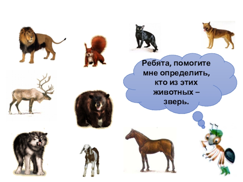 10 животных 1 класс. Звери кто такие звери. Карточки кто такие звери. Кто такие звери по окружающему миру. Кто такие звери 1 класс задания.