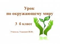 Презентация Надежная защита организма