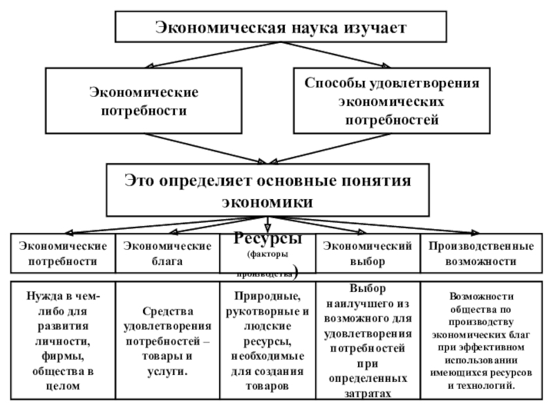 Человек в экономике схема