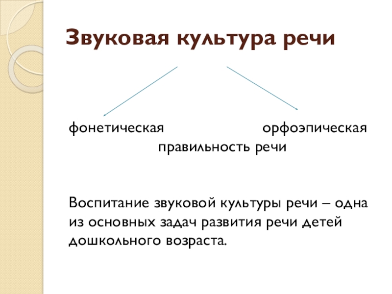 Звуковая культура речи. Воспитание звуковой культуры речи. Культура речи правильность. Задачи звуковой культуры речи. Звуковая культура речи книга.