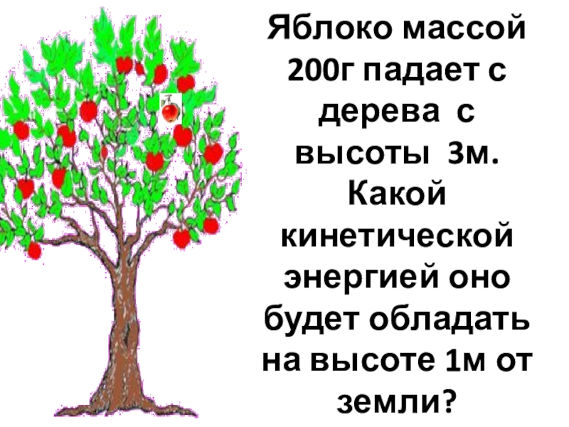 Дерево высотой 3 2. Яблоко массой 200 г падает с дерева с высоты 3 м. Яблоко падает с дерева какая энергия. Яблоко весом 200 г падает с высоты. Яблоко массой 200 г падает с ветки яблони на высоте 2.