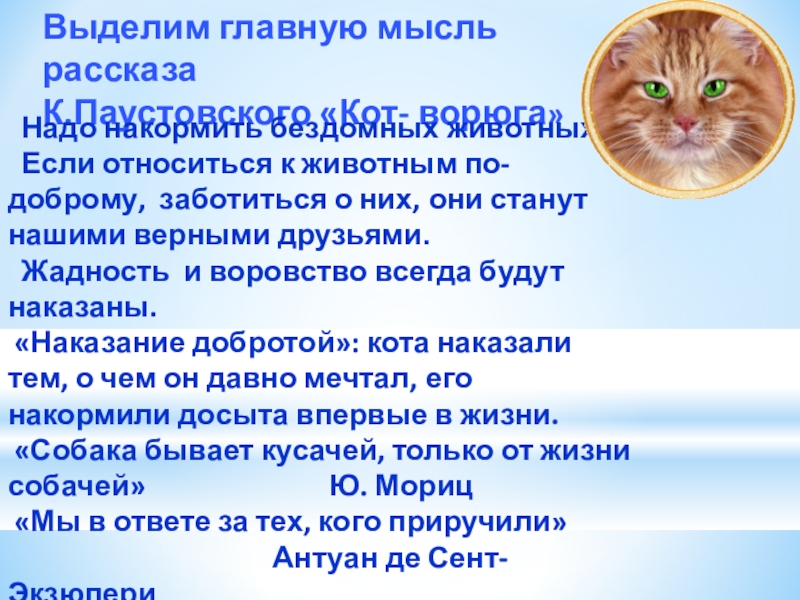 Выделим главную мысль рассказаК.Паустовского «Кот- ворюга» Надо накормить бездомных животных. Если относиться к животным по-доброму, заботиться о