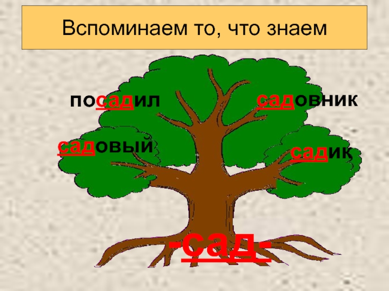 Нарисовать однокоренные слова. Дерево с однокоренными словами дуб. Дерево однокоренных слов яблоко. Дерево с однокоренными словами цвет. Дерево однокоренных без слов.