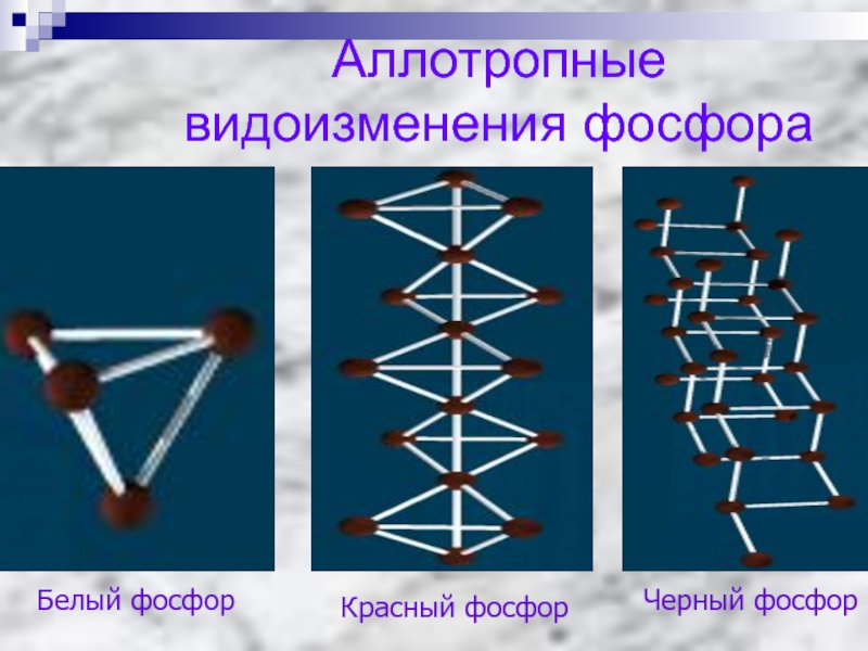 Белый и красный фосфор тип кристаллических решеток. Аллотропные модификации фосфора кристаллическая решетка. Тип Кристалл решетки черного фосфора. Строение кристаллической решетки красного фосфора. Кристаллические решётки фосфора модификации.