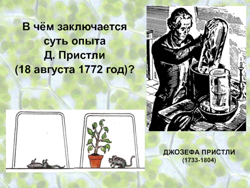 Опыт изображенный на рисунке был осуществлен английским химиком джозефом пристли