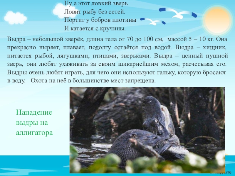 Рыбы обитатели водоемов 2 класс школа 21 века презентация