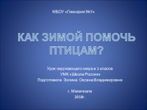 Презентация по окружающему миру  Как помочь птицам зимой?