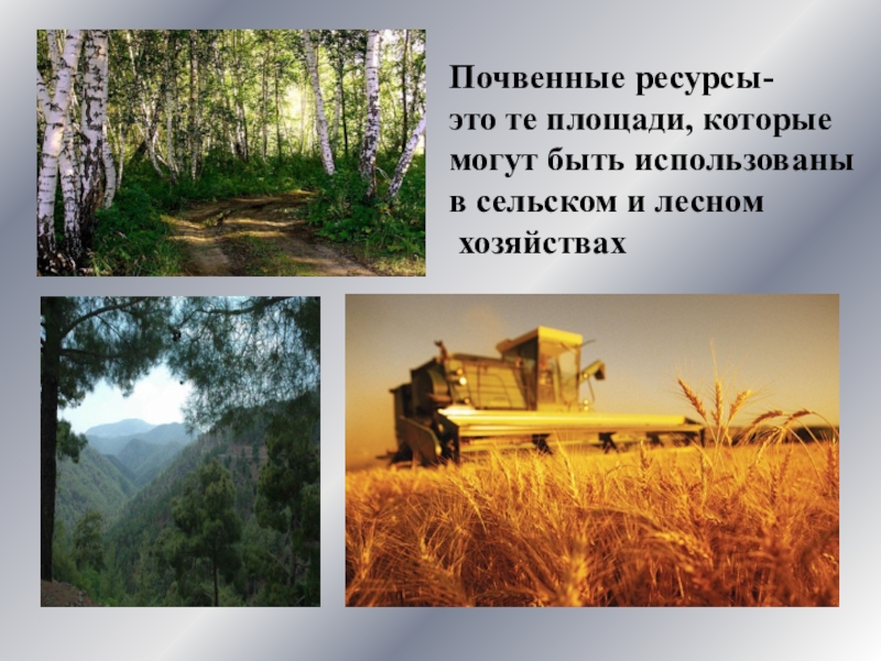 Страны почвенных ресурсов. Почвенно-земельные ресурсы. Почвы и почвенные ресурсы. Почвы и почвенные ресурсы России. Почвенные ресурсы 8 класс.