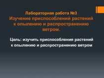 Презентация по экологии на тему Изучение приспособлений растений к опылению и распространению ветром. (6 класс)