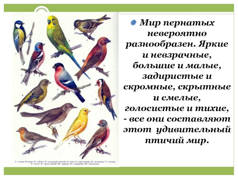 Презентация что красивее всего 2 класс презентация