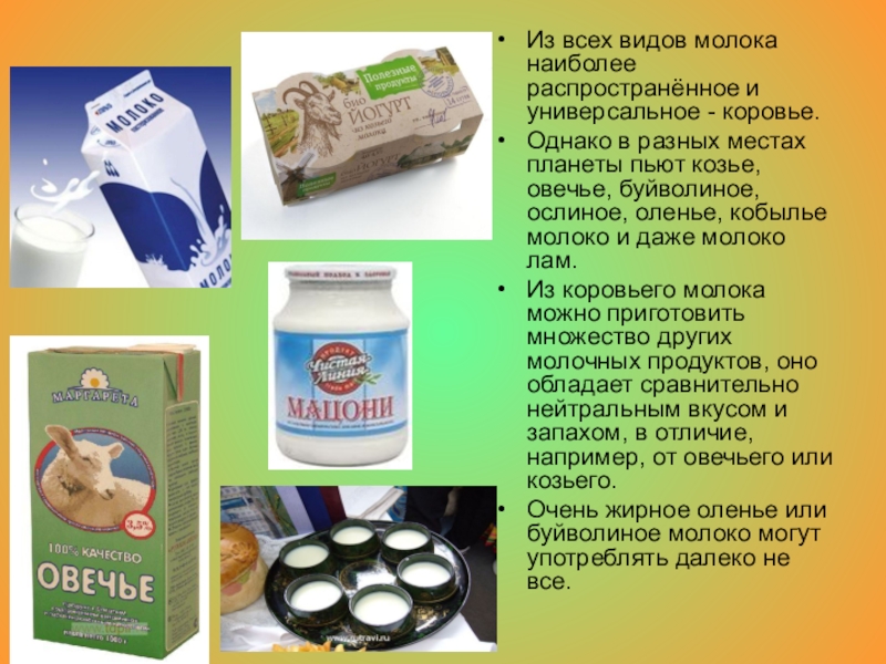 Виды молочных продуктов. Молоко всех видов. Разнообразие видов молока и молочной продукции. Презентация на тему молоко и молочные продукты. Тема вид молока.