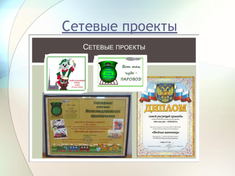 Сетевой проект это