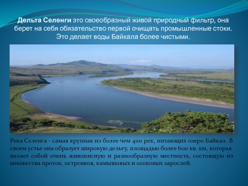Сколько озер впадает в байкал. Дельта Селенги у Байкала. Озеро Байкал река Селенга. Река Селенга Байкал. Республика Бурятия река Селенга.