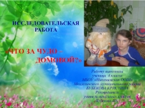 Исследовательская работа ЧТО ЗА ЧУДО - ДОМОВОЙ?