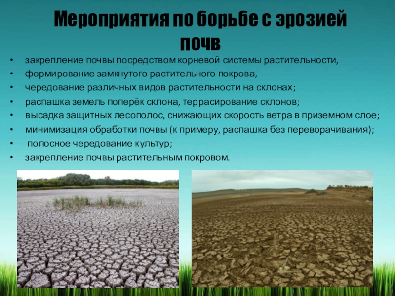 Реферат: Борьба с эрозией почв