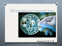 Презентация исследовательской работы Невидимые соседи