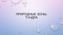 Презентация по окружающему миру Природные зоны. Тундра