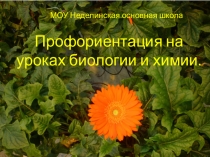 Презентация профориентацмя на уроках химии и биологии.