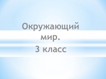 Презентация по окружающему миру на тему Почва