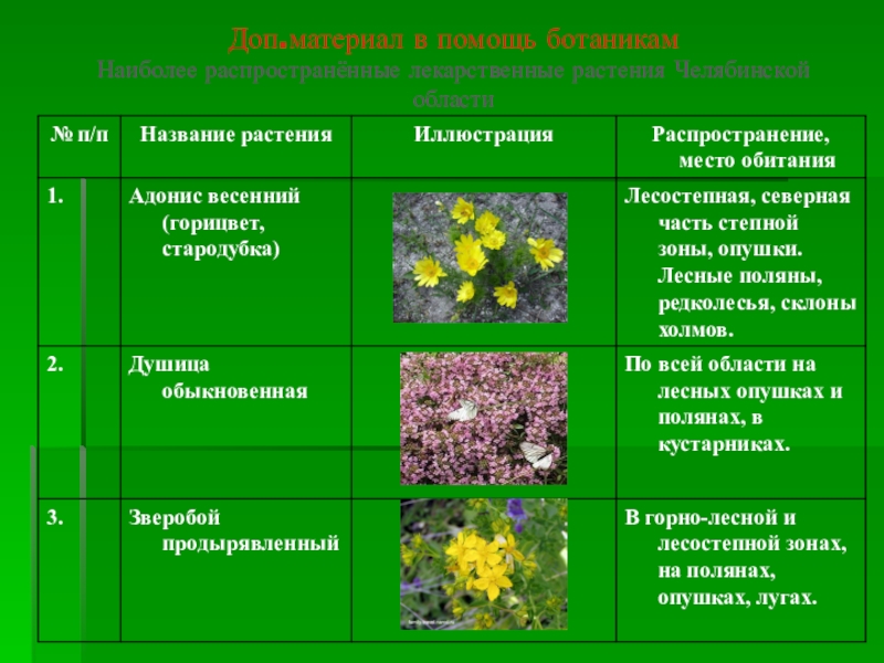 Технологическая карта окружающий мир 4 класс жизнь луга