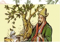 Проект по теме Чай не пил, какая сила - чай попил, совсем устал