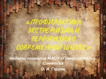 Презентация для педагогического совета Профилактика экстремизма и терроризма в современной школе