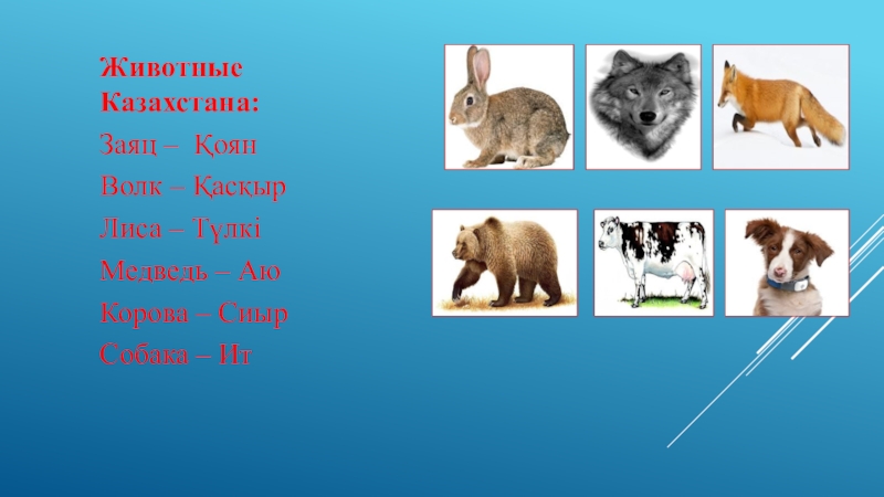 энциклопедия земноводные новая детская энциклопедия. животный мир казахстана карта. плакат с домашними животными для детей. животные по казахскому. животные на казахском.