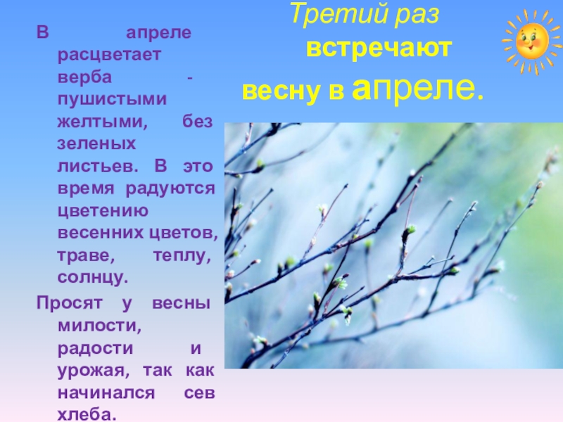 Встречаем весну слова. Встреча весны по народному календарю. Что расцветает в апреле. Верба Верба Верба Верба зацвела. Народный календарь весны.