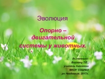 Презентация по биологии на тему Эволюция опорно- двигательной системы животных (7 класс)