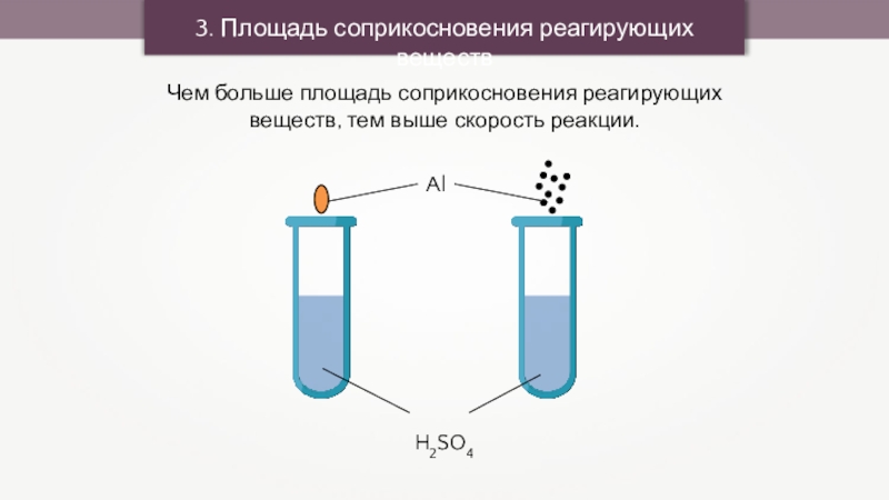 Картинки скорость химической реакции