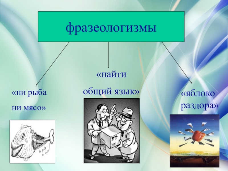 Фразеологизм раздора. Найти общий язык фразеологизм. Фразеологизмы про яблоко. Фразеологизмы о языке. Находить общий язык значение.