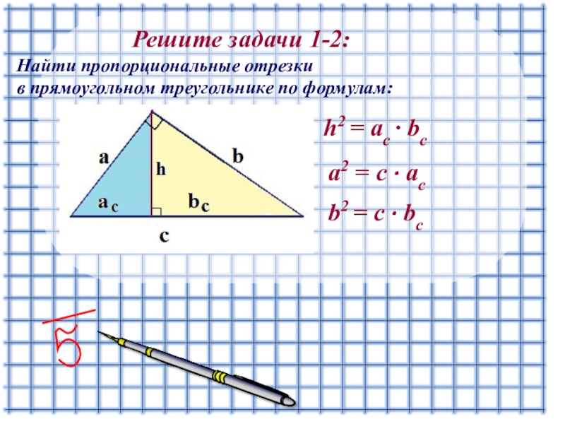 Пропорциональные отрезки класс. Пропорциональные отрезки в прямоугольном треугольнике. Пропорциональные отрезки в прямоугольном треугольнике 8 класс. Пропорциональные отрезки в прямоугольном треугольнике формулы. Задачи на пропорциональные отрезки.