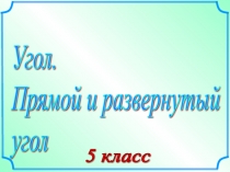 Презентация по математике: Прямой и развернутый угол (5 класс)