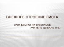 Презентация по биологии на тему Внешнее строение листа (6 класс)