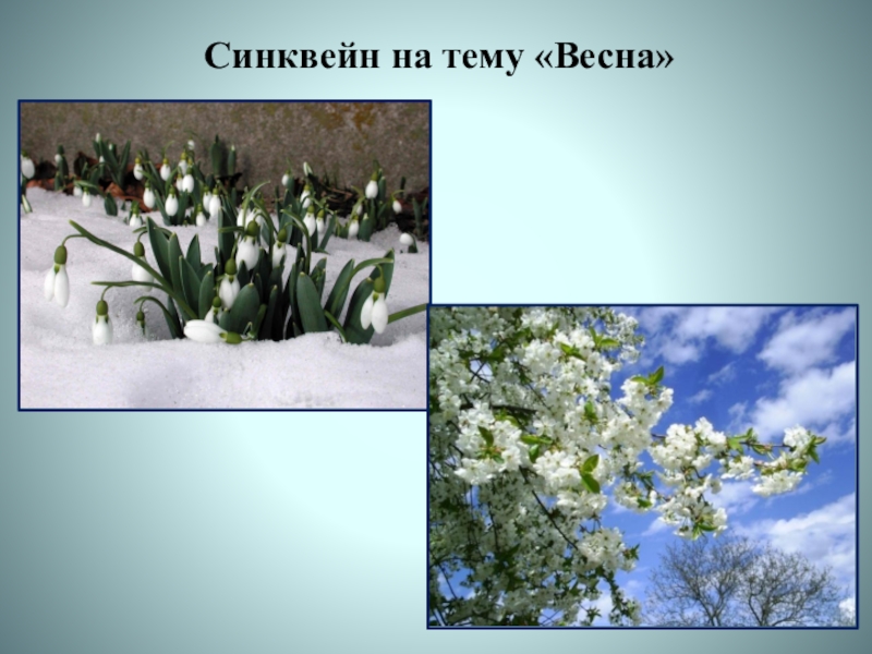 Анализ стихотворения о весна без конца и без краю блок по плану